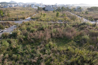 Cỏ mọc um tùm trong các dự án khu đô thị từng "sốt hầm hập" ở Quảng Ninh