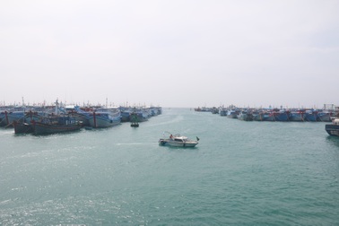 Neo đậu tránh bão, hơn 500 lao động trên 131 tàu cá bị cạn kiệt lương thực