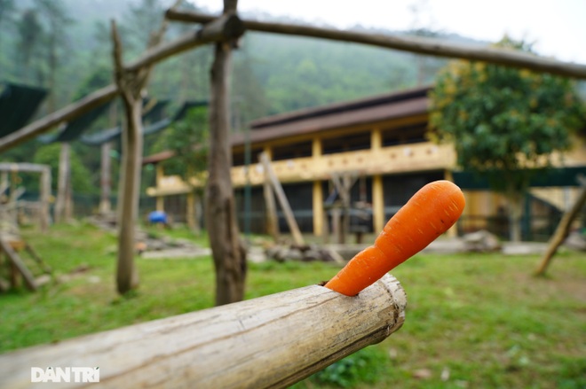 Những bóng hồng thầm lặng ít người biết ở thung lũng gấu Chắt Dậu - 19 Những bóng hồng thầm lặng ít người biết ở thung lũng gấu Chắt Dậu - 19