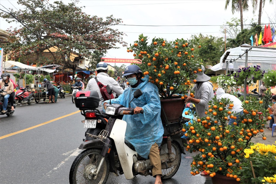 Chợ hoa xuân Hội An không ế ẩm như dự đoán; Huế người bán nhiều hơn mua - 4 Chợ hoa xuân Hội An không ế ẩm như dự đoán; Huế người bán nhiều hơn mua - 4