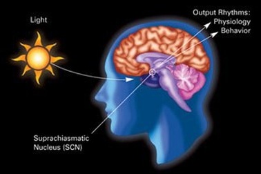 Ô nhiễm ánh sáng: Những điều bạn cần biết!