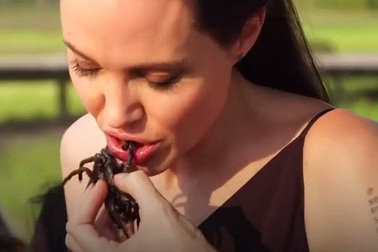 Angelina Jolie cùng các con nếm thử nhện đen, bọ cạp
