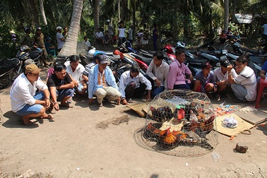 Triệt phá trường gà, thu giữ trên 200 triệu đồng