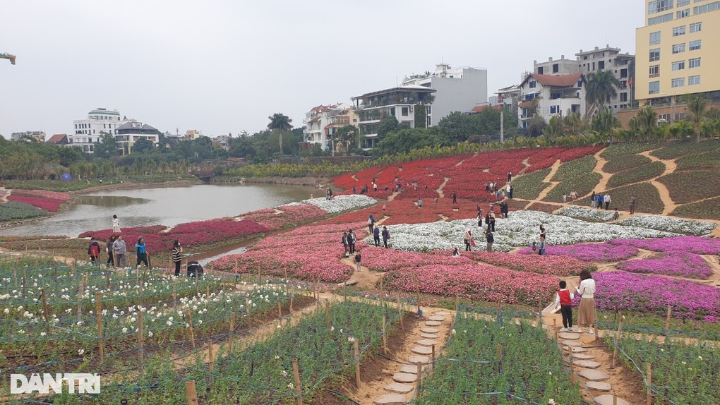 Vì sao 30.300m2 đất thung lũng hoa Hồ Tây chỉ cho thuê 670 triệu đồng/năm? - 1 Vì sao 30.300m2 đất thung lũng hoa Hồ Tây chỉ cho thuê 670 triệu đồng/năm? - 1