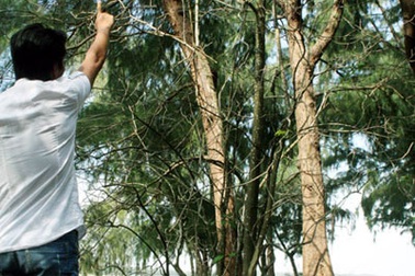 Cả thôn hoang mang vì sợ trăn trả thù 