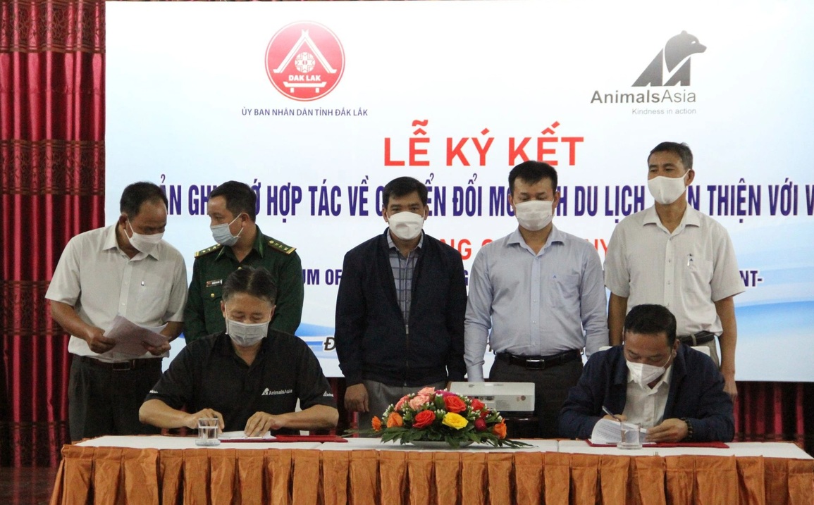 Đắk Lắk cam kết hướng tới chấm dứt du lịch cưỡi voi - 1 Đắk Lắk cam kết hướng tới chấm dứt du lịch cưỡi voi - 1