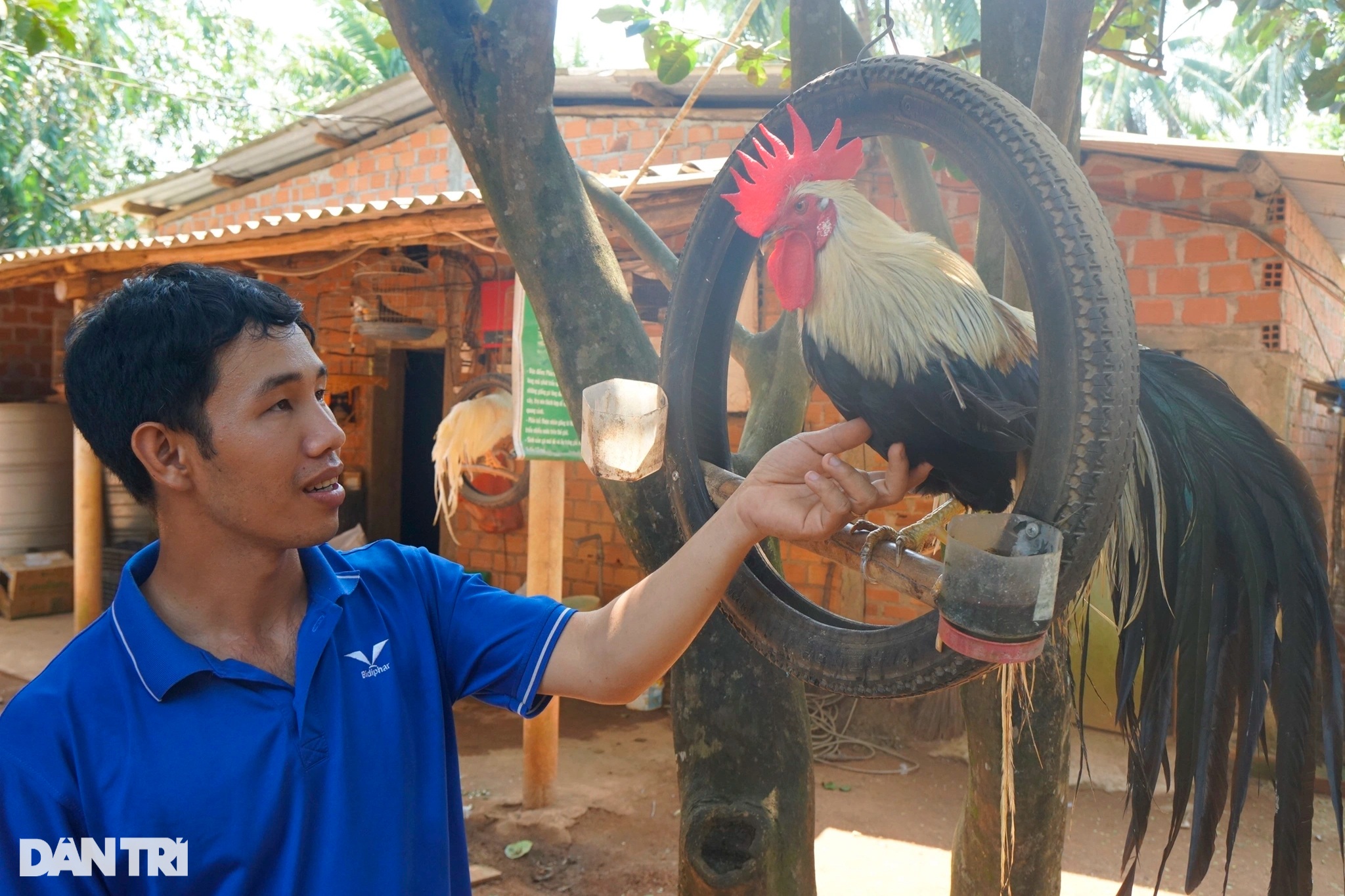 Bỏ việc kỹ sư ở TPHCM về quê, trở thành tỷ phú nhờ chim và ong - 1