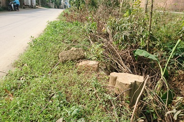 Thêm một xã ở Hà Nội bất ngờ chặt hàng loạt cây xanh