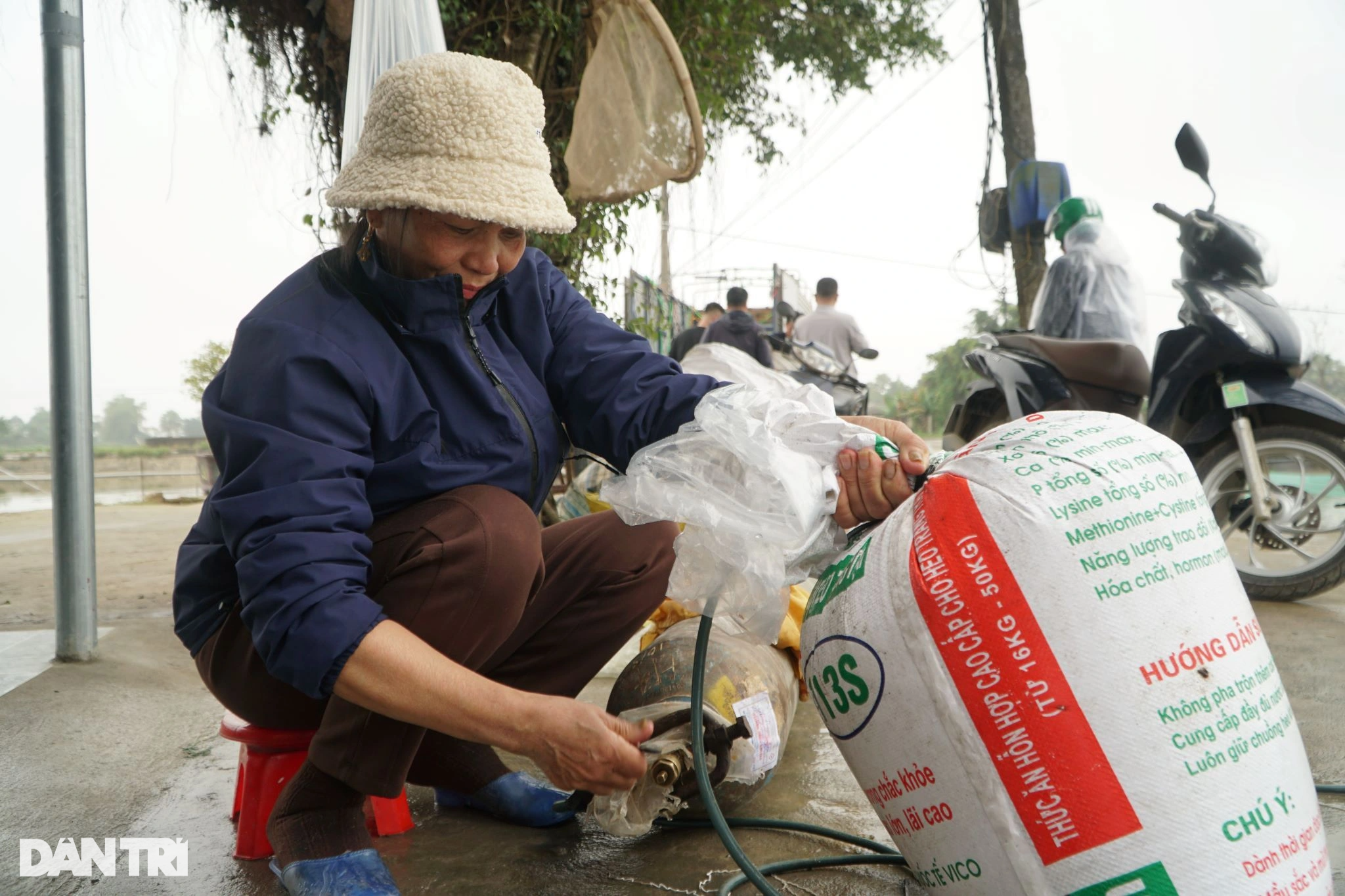 Vét hồ gom 3 tấn cá chép, kiếm gọn trăm triệu trước ngày ông Táo về trời - 10 Vét hồ gom 3 tấn cá chép, kiếm gọn trăm triệu trước ngày ông Táo về trời - 10
