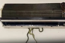 Hoảng hồn phát hiện cả ổ rắn trong dàn lạnh điều hòa ở Quảng Nam