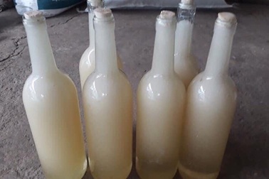 Mật ong trắng như sữa: Mỗi năm chỉ 1 lần, hàng hiếm từ đỉnh núi mây