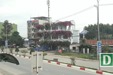 Giàn hoa giấy tuyệt đẹp phủ kín ngôi nhà 3 tầng