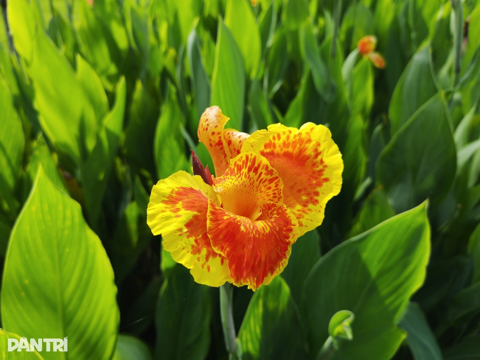 Đánh giá Honor 400: Hiệu suất tốt, AI đa dạng nhưng còn hạn chế về thiết kế - 13