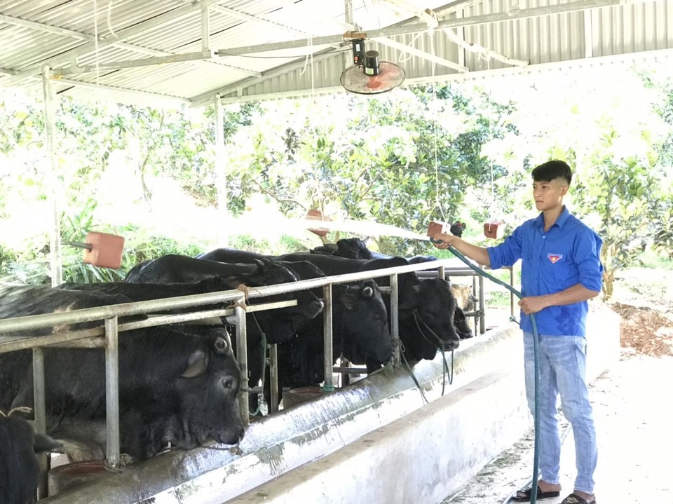 Thanh niên nông thôn kiếm trăm triệu đồng/năm: Không chọn ĐH, học chăn nuôi - 1 Thanh niên nông thôn kiếm trăm triệu đồng/năm: Không chọn ĐH, học chăn nuôi - 1