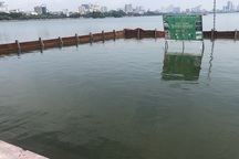 Chất lượng nước hồ Tây: Tưởng có, nhưng không rõ ai... quản