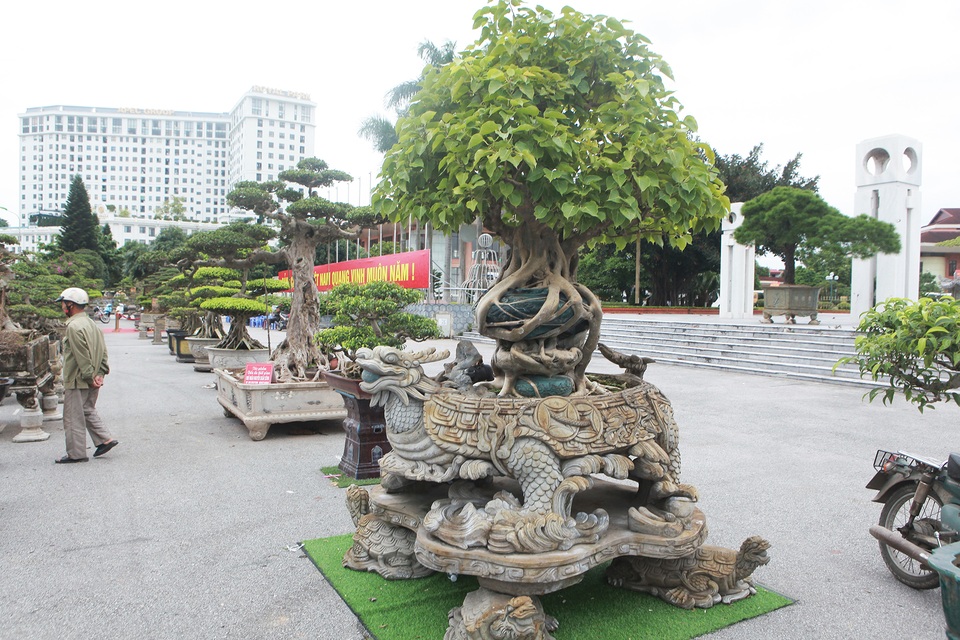 “Báu vật” nhà Phật, lần đầu xuất hiện khiến giới chơi cây choáng ngợp - 1 “Báu vật” nhà Phật, lần đầu xuất hiện khiến giới chơi cây choáng ngợp - 1
