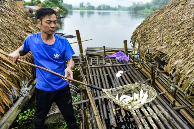 Thanh Hóa xử phạt hàng loạt các công ty xả thải ra sông Mã - Ảnh 1.