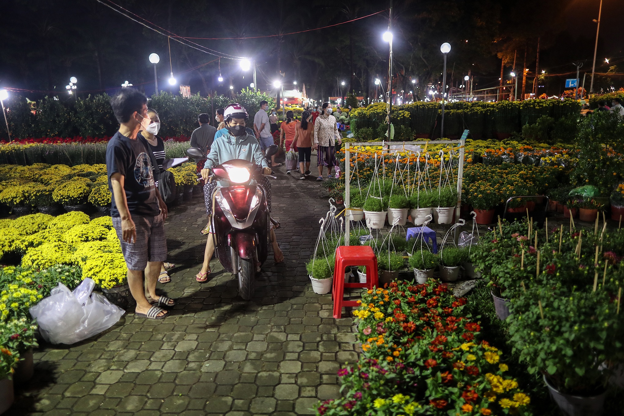 Người bán hoa mắc màn, võng... xuyên đêm canh cây cảnh Tết ở TPHCM - 1 Người bán hoa mắc màn, võng... xuyên đêm canh cây cảnh Tết ở TPHCM - 1