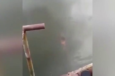 Mất mạng vì nhảy xuống hồ cá sấu để chứng minh năng lực siêu nhiên