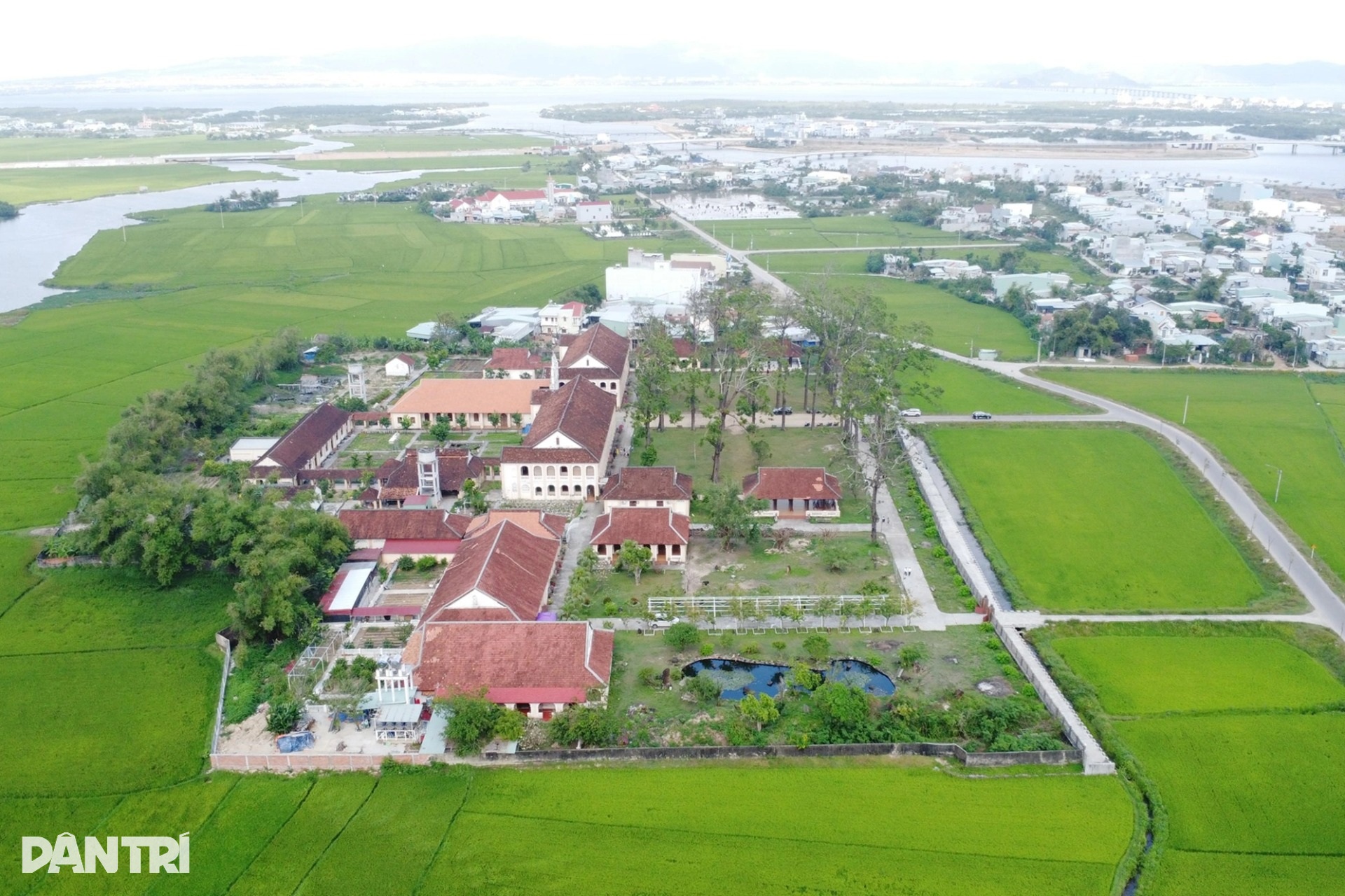 Hàng cây sao cổ thụ ở Tiểu chủng viện Làng Sông hồi sinh sau bão lịch sử - 2