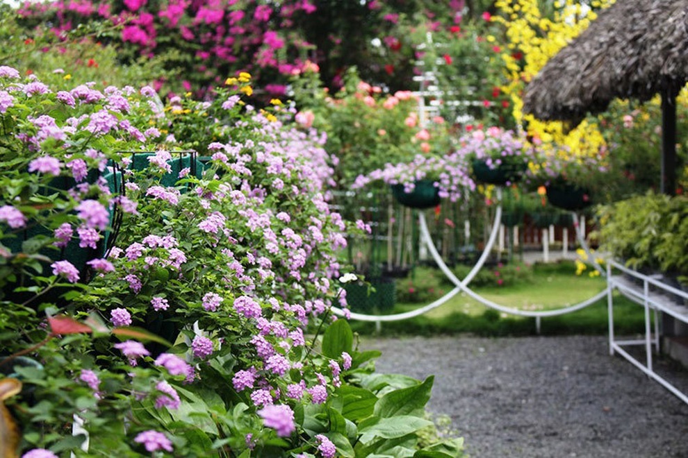 Vượt đường xa đến tìm, vợ chết lặng thấy chồng chung sống với nhân tình - 1