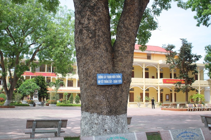 Ngôi trường xanh mướt như 1 khu sinh thái thu nhỏ giữa “thành phố cảng”, nơi thầy trò giữ gìn từng gốc cây, từng tán lá trong sân trường - Ảnh 16. Ngôi trường xanh mướt như 1 khu sinh thái thu nhỏ giữa “thành phố cảng”, nơi thầy trò giữ gìn từng gốc cây, từng tán lá trong sân trường - Ảnh 16.