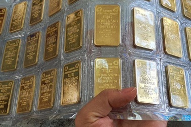 Kê biên 1.440 bất động sản, thu 534 lượng vàng trong vụ Phúc Sơn