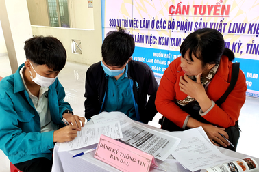 Lo sẵn việc làm cho lao động mất việc ở nơi khác về