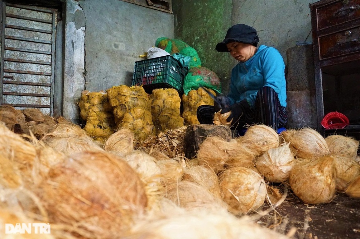 Nghề chặt đau tay kiếm vài trăm nghìn đồng mỗi ngày giáp Tết - 2 Nghề chặt đau tay kiếm vài trăm nghìn đồng mỗi ngày giáp Tết - 2