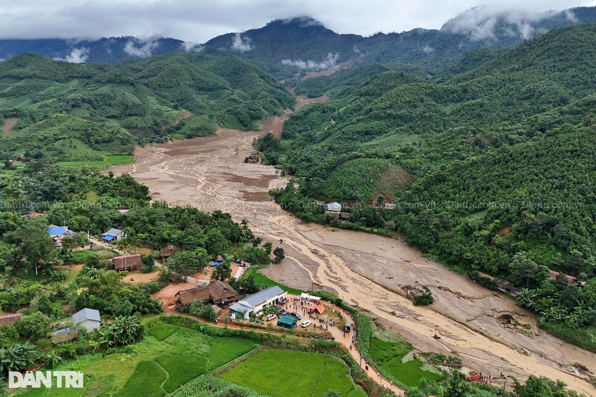 Chó nghiệp vụ tìm kiếm người bị nạn sau trận lũ càn quét Làng Nủ ở Lào Cai - 1 Chó nghiệp vụ tìm kiếm người bị nạn sau trận lũ càn quét Làng Nủ ở Lào Cai - 1
