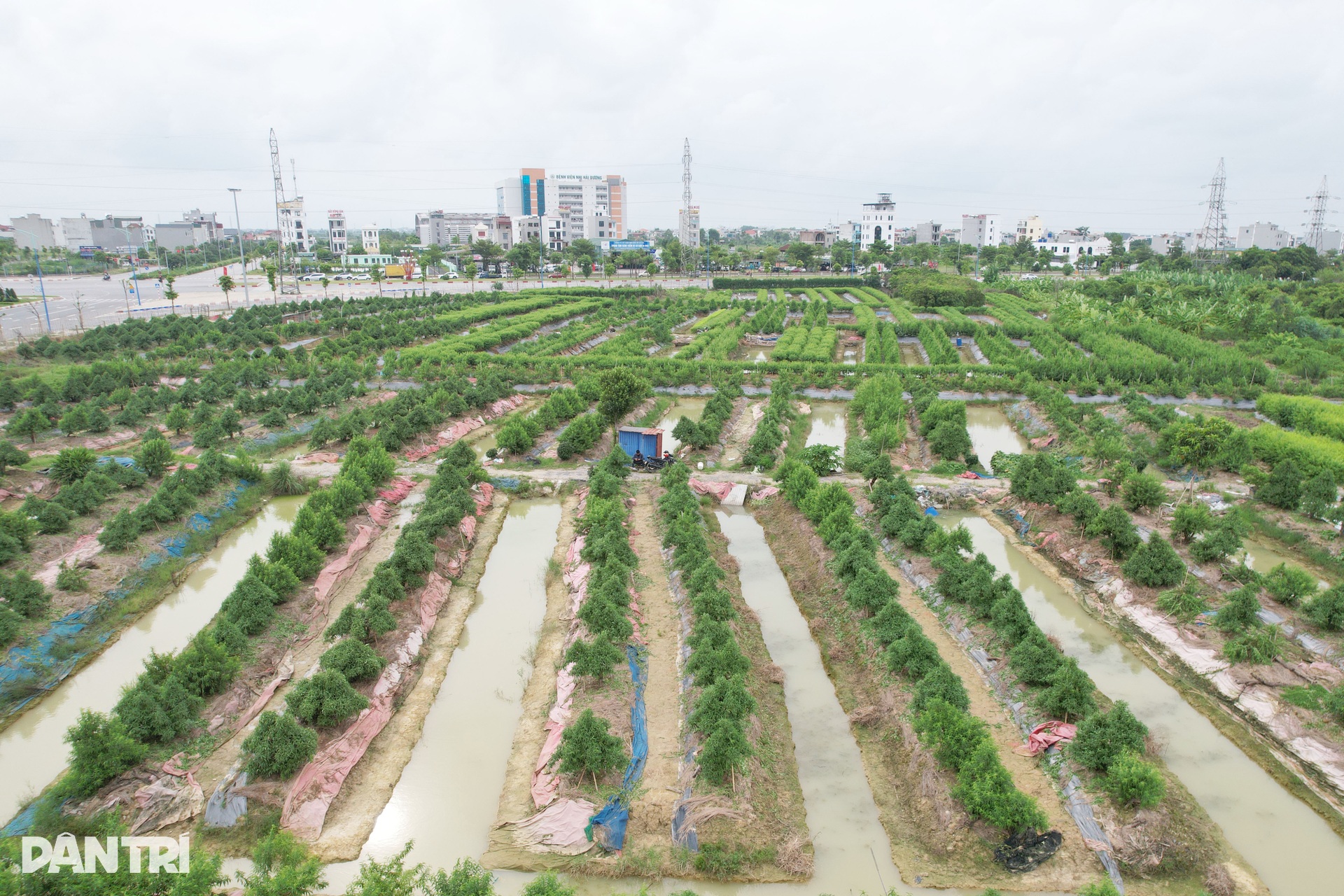 Cận cảnh vị trí xây tổ hợp thể thao, sân bóng đá 30.000 chỗ ở Hải Phòng - 9 Cận cảnh vị trí xây tổ hợp thể thao, sân bóng đá 30.000 chỗ ở Hải Phòng - 9