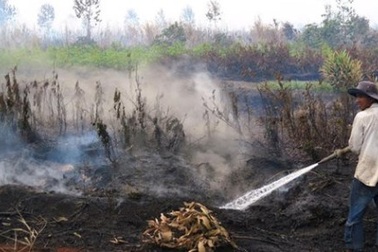 4 ngày không dập nổi đám cháy dưới lớp than bùn