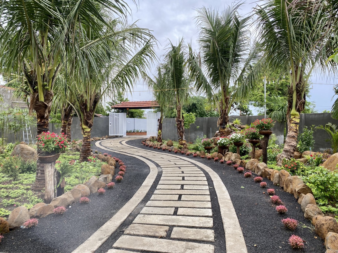 Chàng trai 9X gom đá và gỗ cũ, dựng nhà vườn 1.000m2 ở Buôn Mê Thuột - 7 Chàng trai 9X gom đá và gỗ cũ, dựng nhà vườn 1.000m2 ở Buôn Mê Thuột - 7
