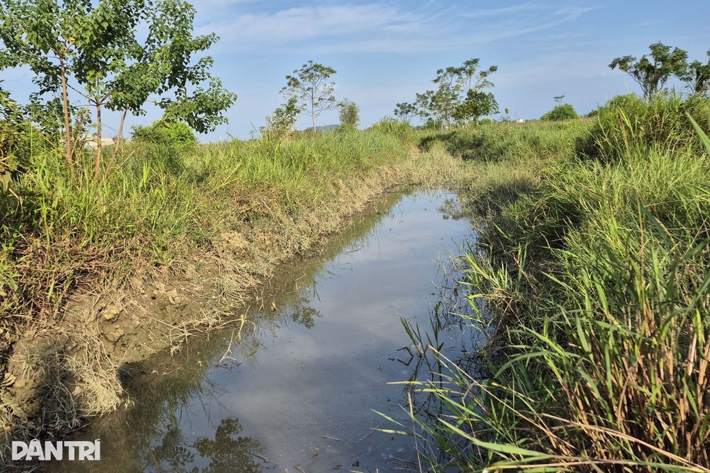 Cán bộ nghỉ hưu ném tiền qua cửa sổ thu hàng trăm triệu đồng/năm - 2