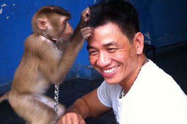 Công motor bị phạt vì nuôi động vật trái phép