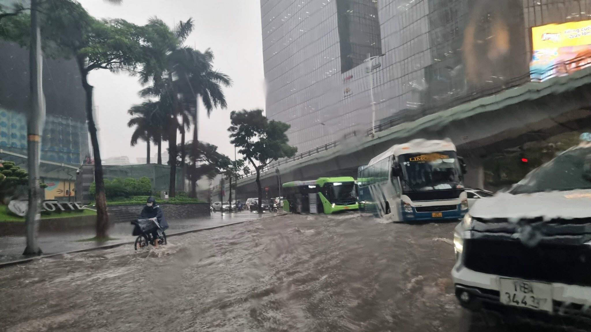 ngap- Đao Tan Lieu Giai.JPG ngap- Đao Tan Lieu Giai.JPG