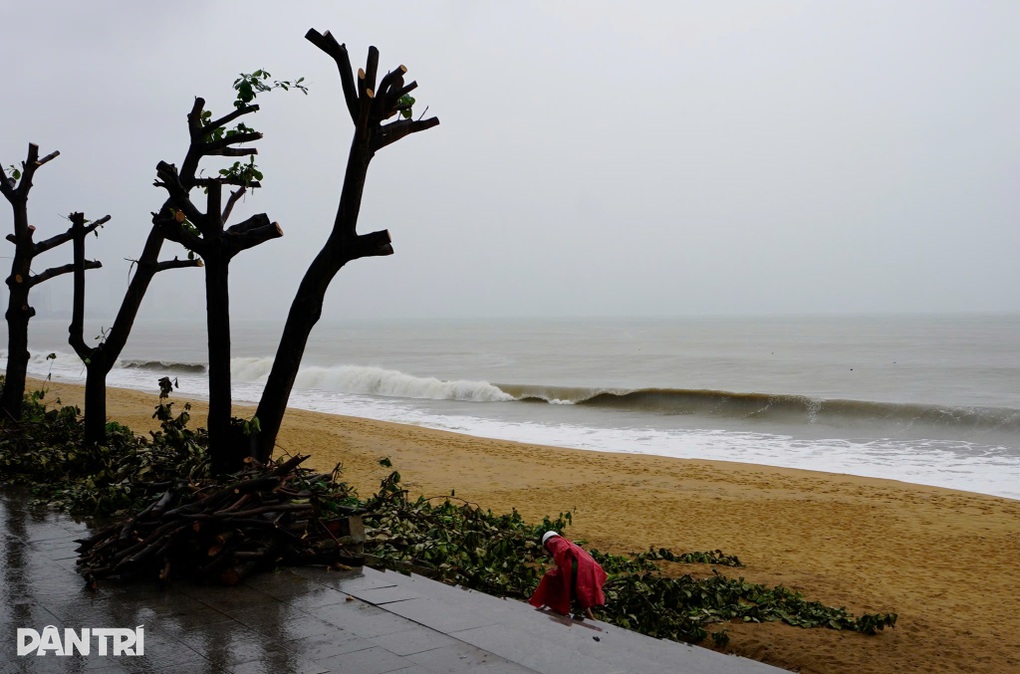 Diễn biến mưa gió tại miền Trung trước giờ bão Kalmaegi đổ bộ - 5 Diễn biến mưa gió tại miền Trung trước giờ bão Kalmaegi đổ bộ - 5