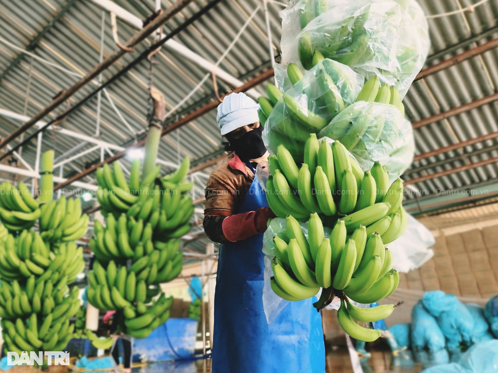 Từ cậu bé làm thuê đến cuộc trường chinh đổi vận thành vua đất miền Tây - 6 Từ cậu bé làm thuê đến cuộc trường chinh đổi vận thành vua đất miền Tây - 6