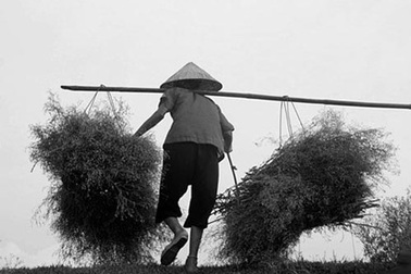 Bà nội của cháu ngoại tôi