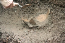 Phát hiện thêm nồi đất, dĩa đất, gạch cổ tại hố thám sát tìm dấu tích vua Quang Trung