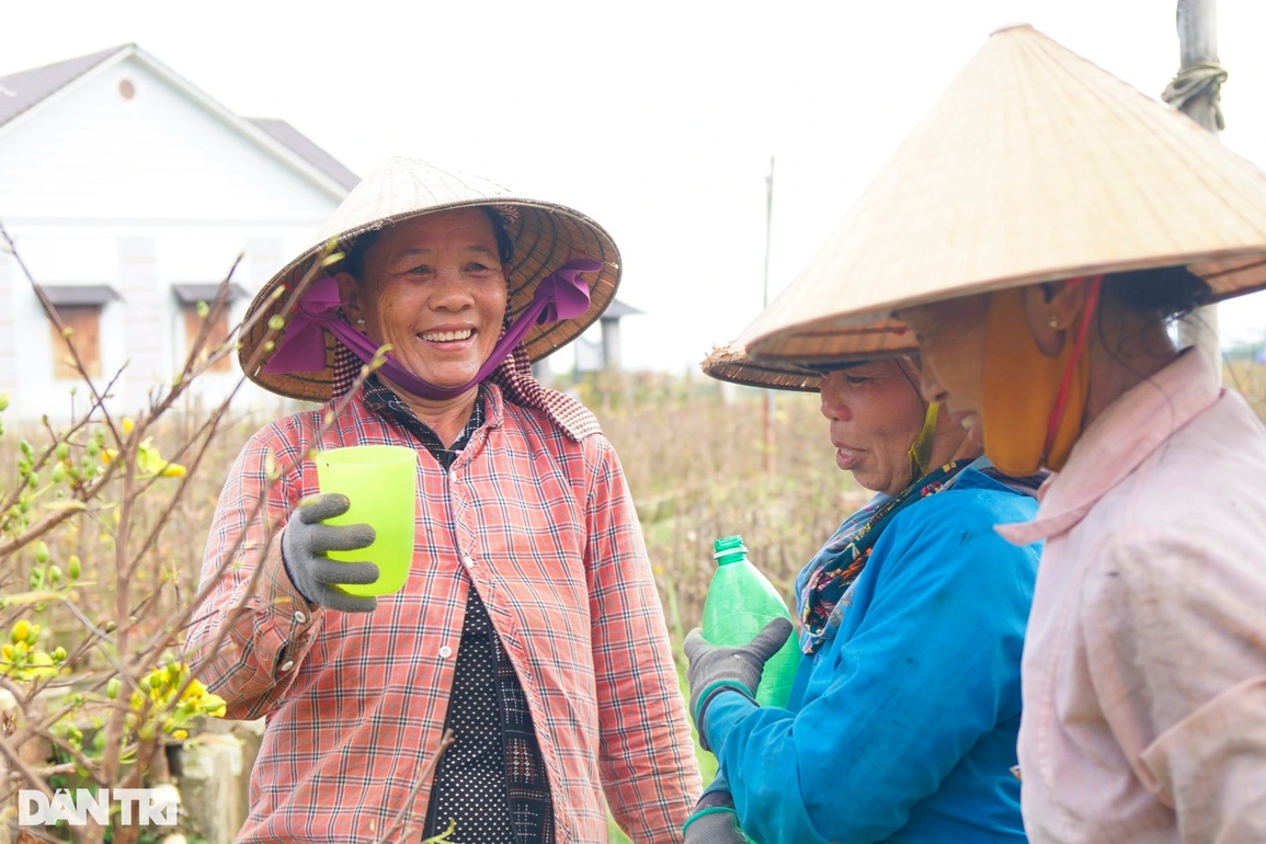 Nín thở, bặm môi khiêng chậu, chị em làng mai kiếm tiền triệu tiêu Tết - 5 Nín thở, bặm môi khiêng chậu, chị em làng mai kiếm tiền triệu tiêu Tết - 5