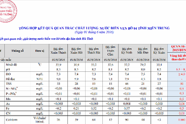 Hai bãi tắm ở Hà Tĩnh có hàm lượng sắt vượt ngưỡng cho phép