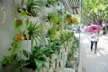 Sinh viên biến điểm đen rác bẩn thành vườn hoa đẹp mắt