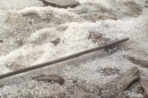 Nhiều nơi ở Lào Cai trắng xóa vì mưa đá