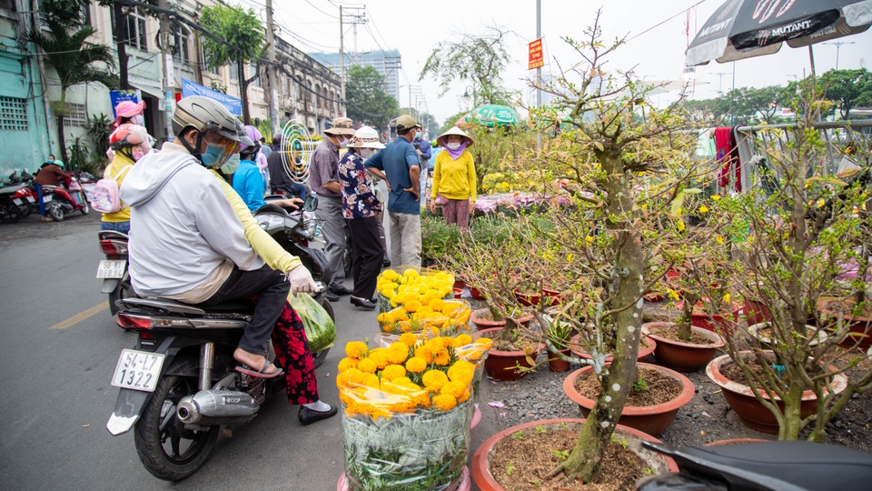 Nhiều ngày phơi mặt không bán nổi hoa, tiểu thương khóc thét lo mất Tết - 9 Nhiều ngày phơi mặt không bán nổi hoa, tiểu thương khóc thét lo mất Tết - 9