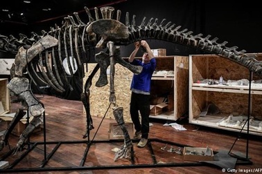 Người bí ẩn đấu giá mua xương hóa thạch khủng long 150 triệu năm tuổi