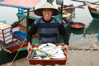 Ngư dân phấn chấn vì trúng đậm “lộc biển” đầu năm