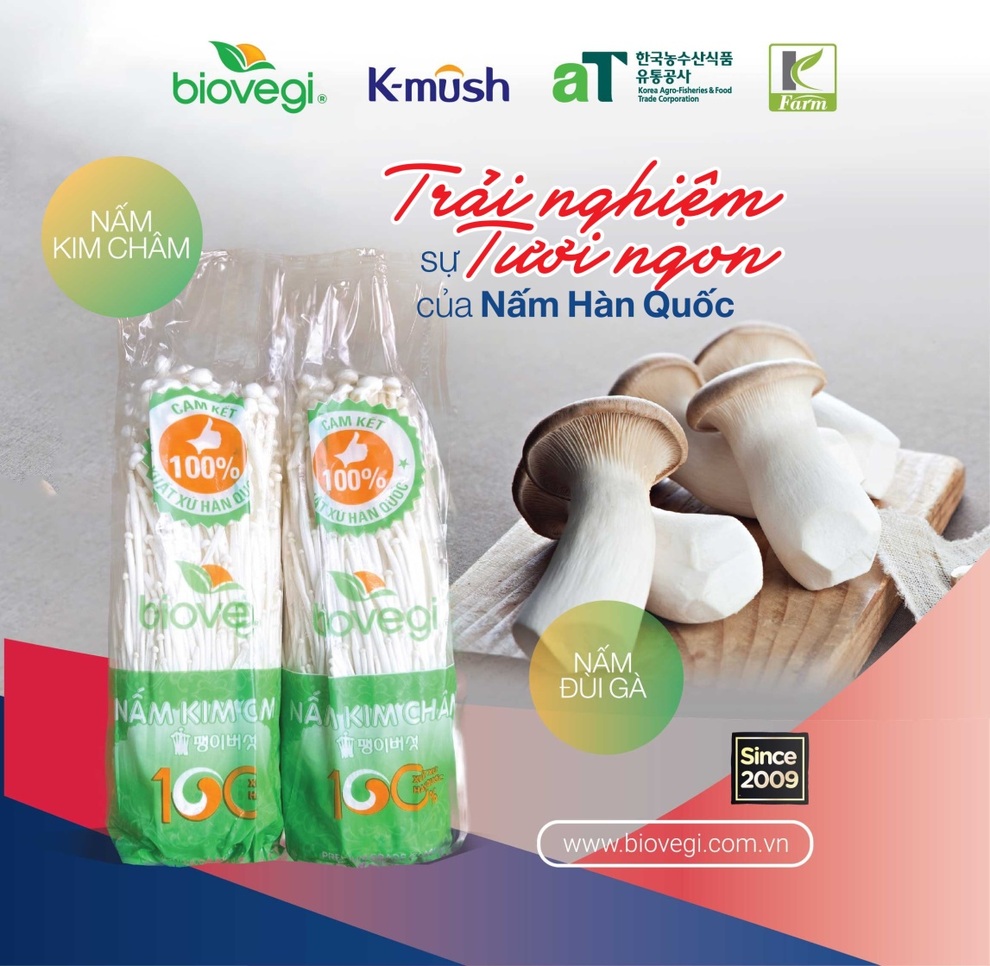 Biovegi Việt Nam tổ chức chương trình Sampling nấm tươi Hàn Quốc - 1 Biovegi Việt Nam tổ chức chương trình Sampling nấm tươi Hàn Quốc - 1