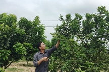 Anh nông dân “khùng” bỏ nhà ra đồng làm trang trại thu tiền tỷ