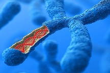 Phát hiện tác nhân ngăn cản cơ thể “sửa chữa” các tế bào ung thư